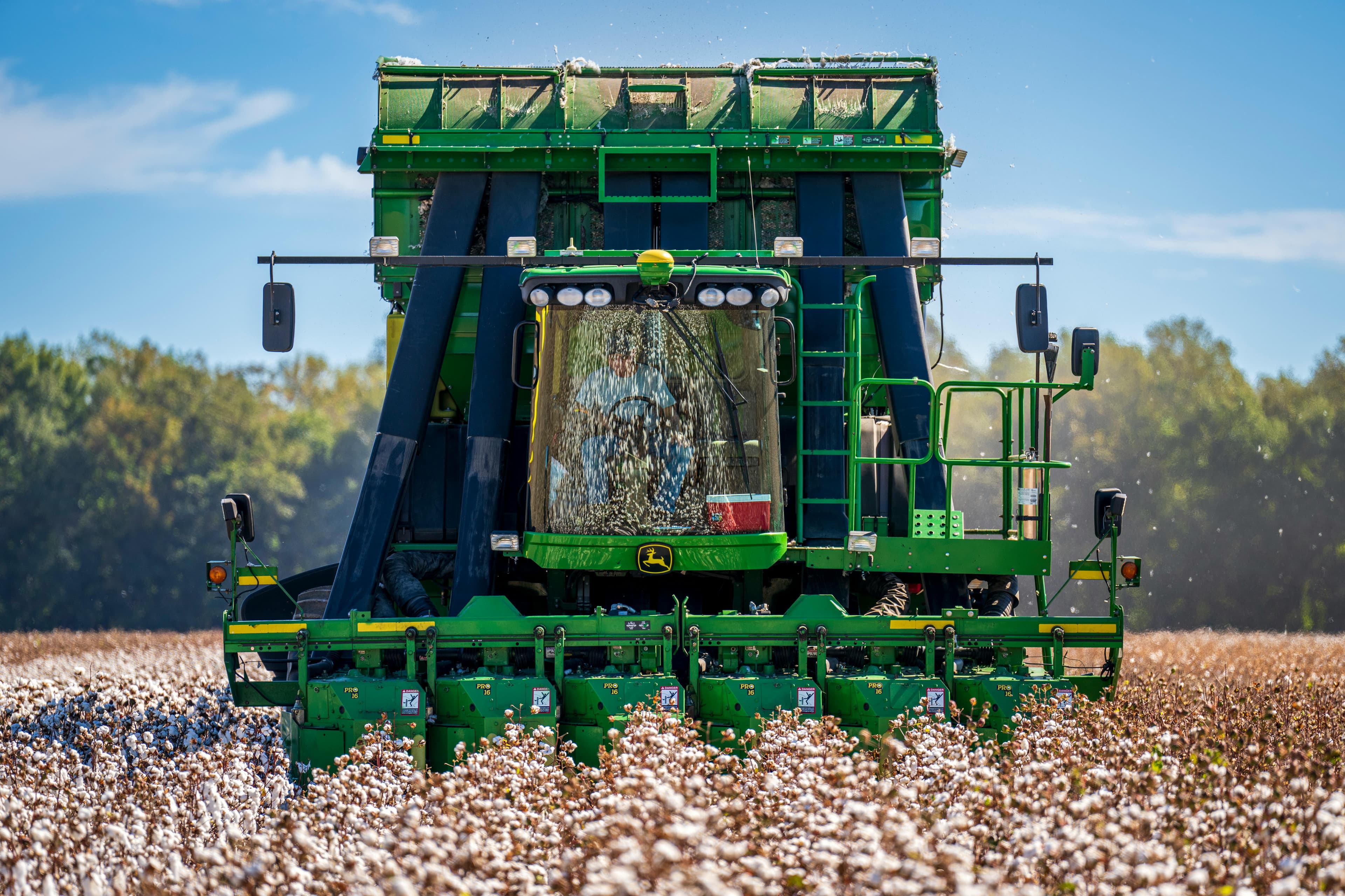 Cotton Harvesting
